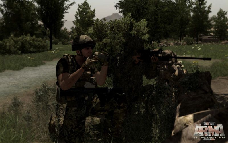 Illustration de l'article sur ArmA 2 : Reinforcements
