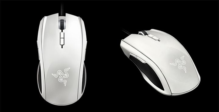 Illustration de l'article sur Razer lance la souris Taipan White