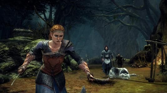 Illustration de l'article sur Le Seigneur des Anneaux : La Guerre du Nord