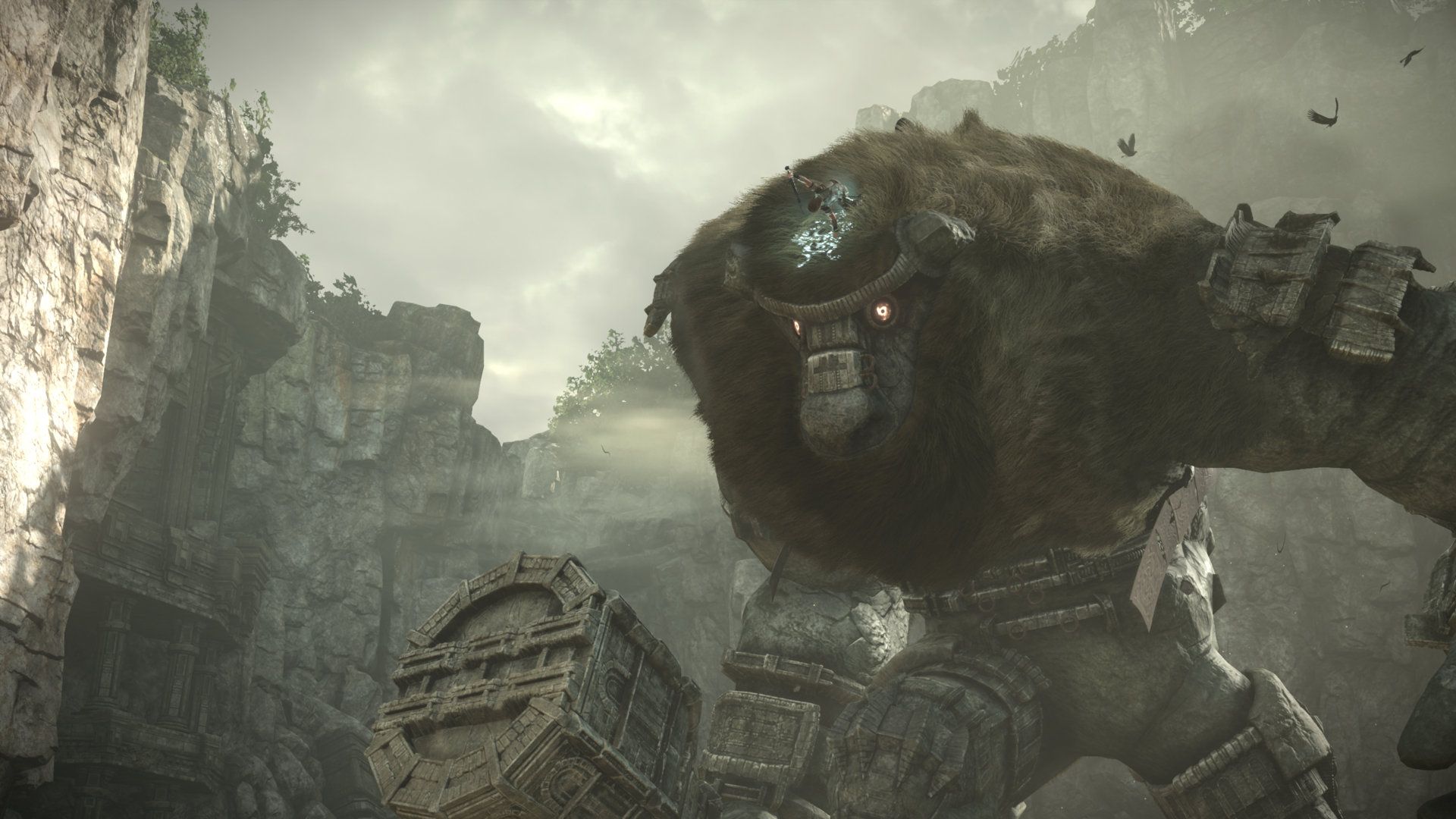 Illustration de l'article sur Shadow of the Colossus