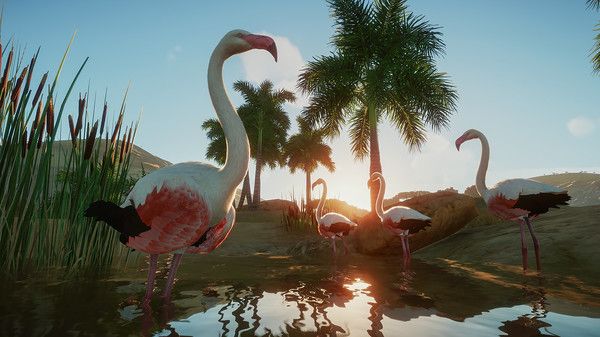 Illustration de l'article sur Planet Zoo