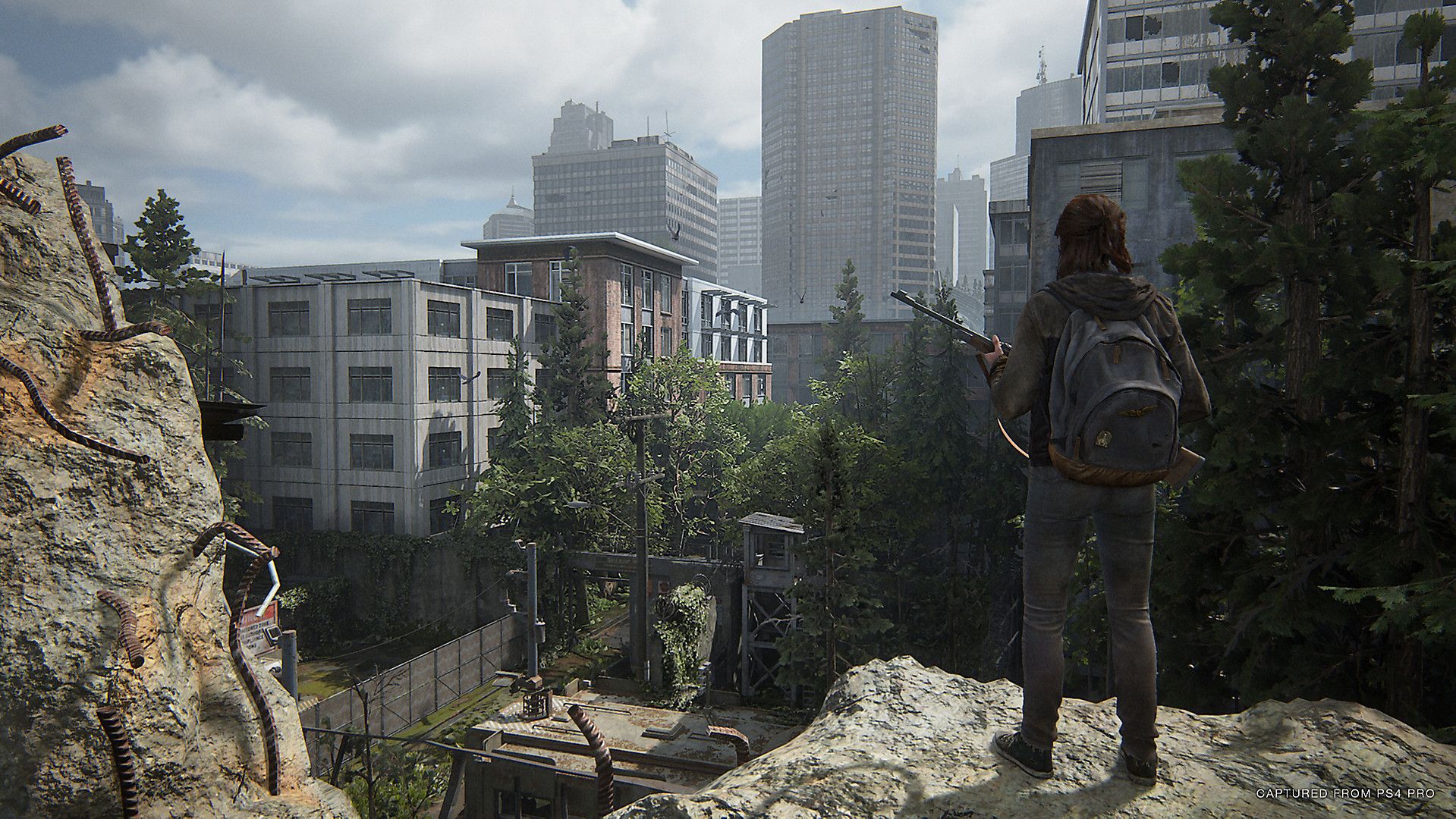 Illustration de l'article sur The Last of Us Part II