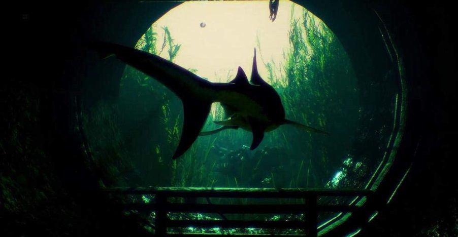 Illustration de l'article sur Maneater s'embellitsur Xbox Series X et PS5