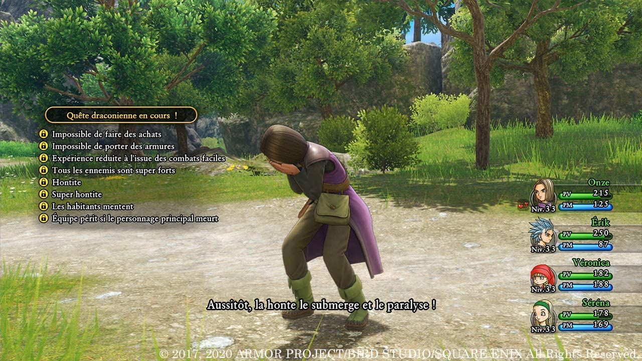 Illustration de l'article sur Dragon Quest XI S :Les Combattants de la destinée