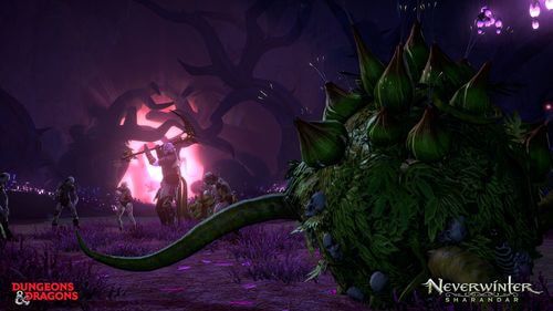 Illustration de l'article sur Neverwinter fait sonretour � Sharandar