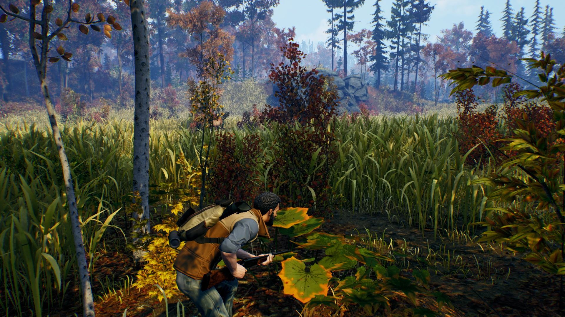 Illustration de l'article sur Open Country débarquesur PC, PS4 et Xbox One