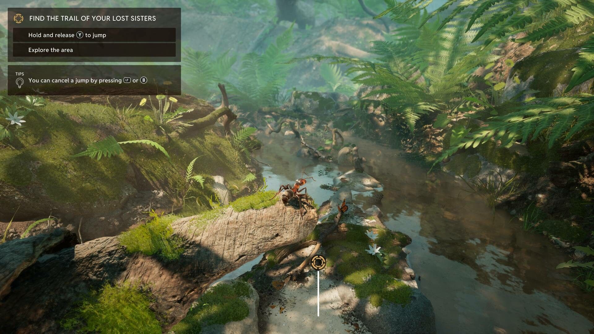 Illustration de l'article sur TEST : Les Fourmis