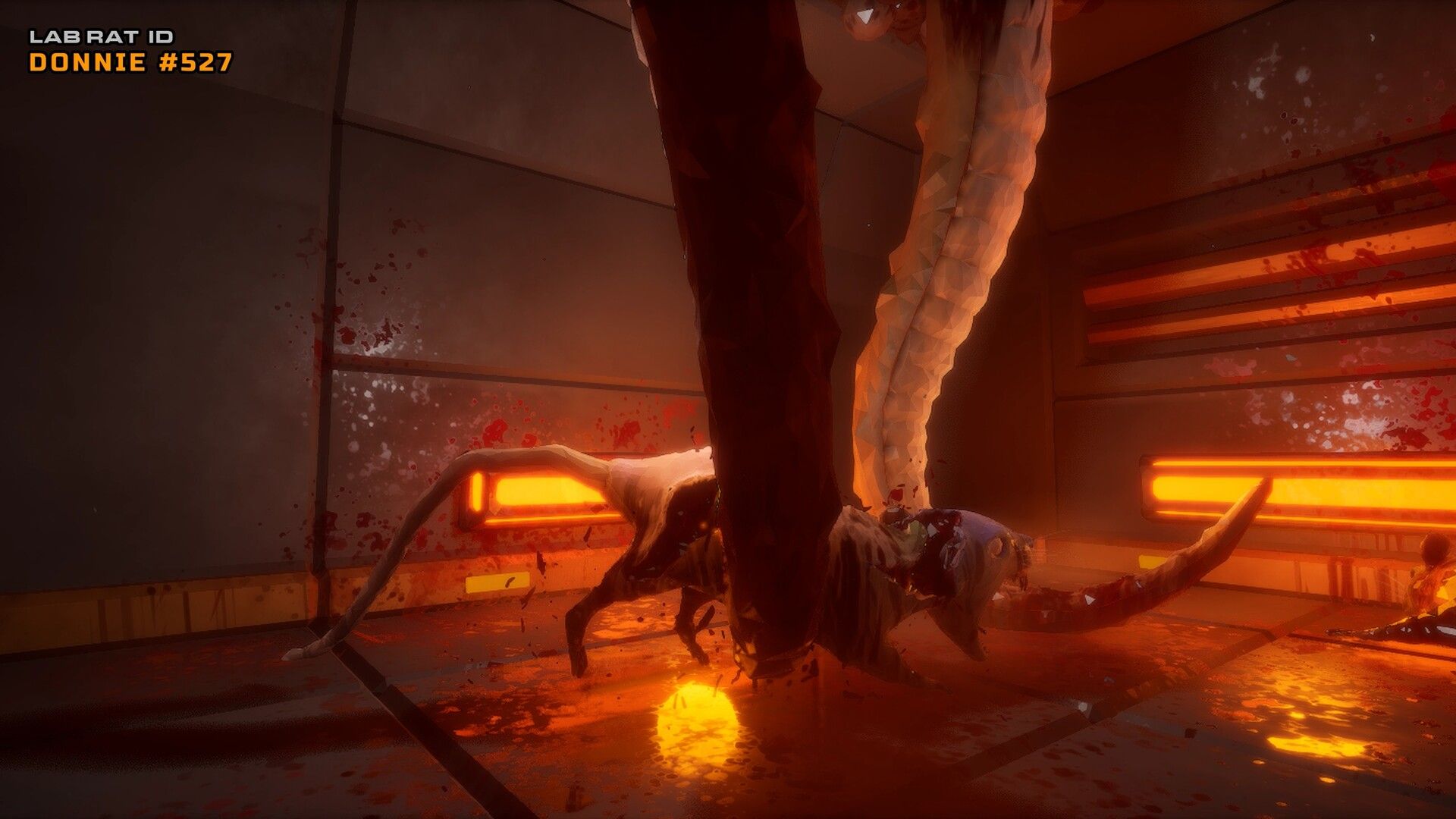 TEST :  Cyber Rats 