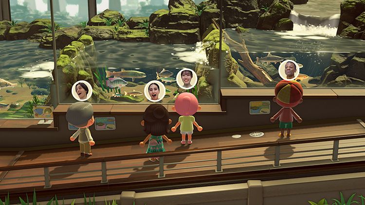 TEST : Animal Crossing :<br>New Horizons  Switch 2 Edition