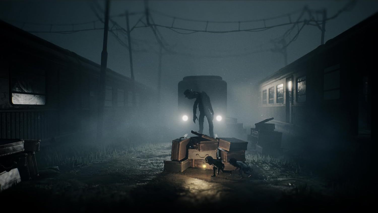 Illustration de l'article sur TEST :  Reanimal