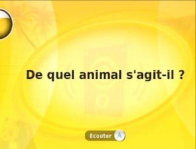 Illustration de l'article sur Quiz Party