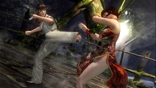 Illustration de l'article sur Dead or Alive 5