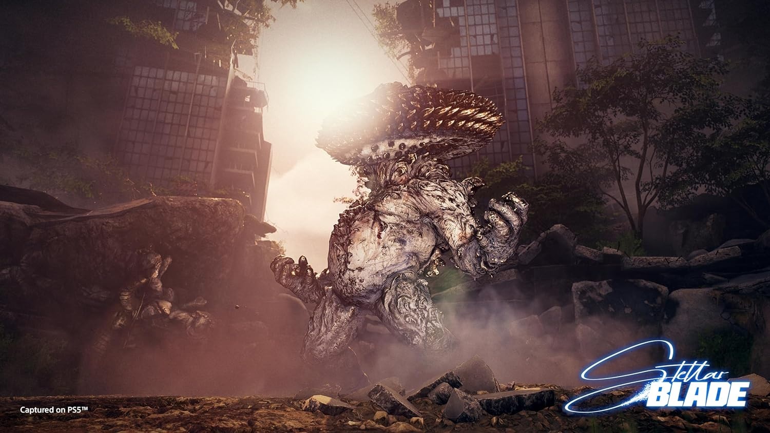 Illustration de l'article sur TEST : Stellar Blade