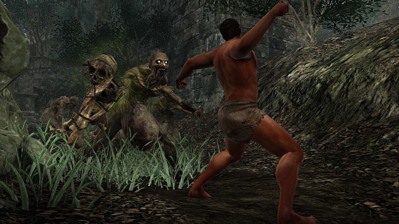 Illustration de l'article sur Les �ditions Collector et Black Armour de Dark Souls II