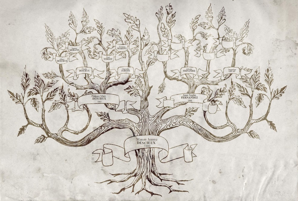 Illustration de l'article sur TEST : Généatique 2026