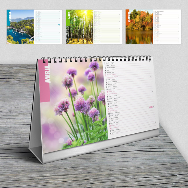 Illustration de l'article sur STUDIO-SCRAP 9 annoncé pour septembre 2023