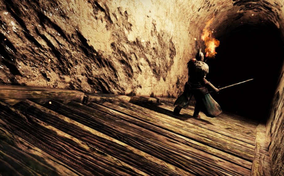 Illustration de l'article sur Dark Souls II