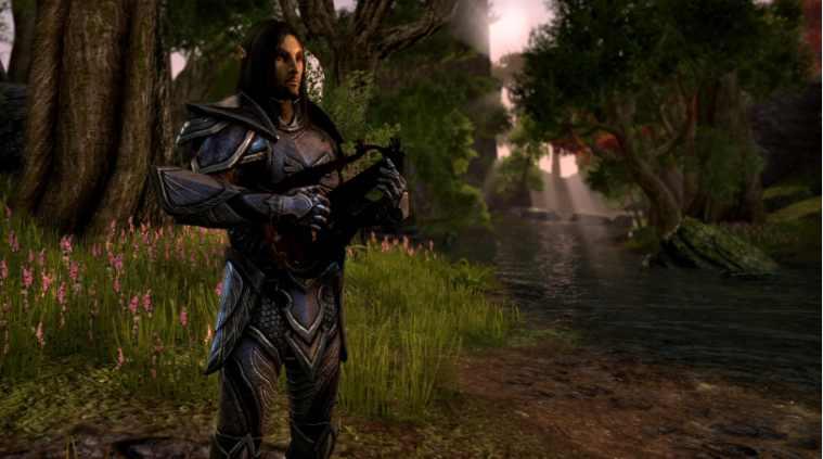 Illustration de l'article sur The Elder Scrolls Online : cinématique et plus de détails...