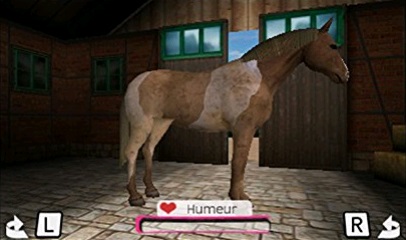 Illustration de l'article sur Horse Life 4