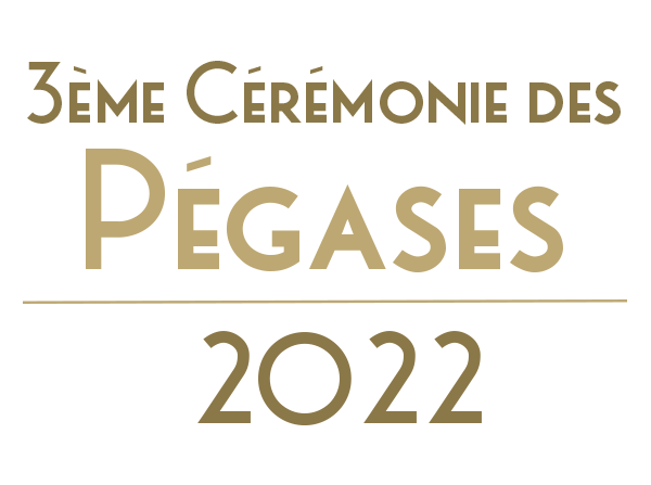 Illustration de l'article sur Liste des jeux vid�onomm�s aux P�gases