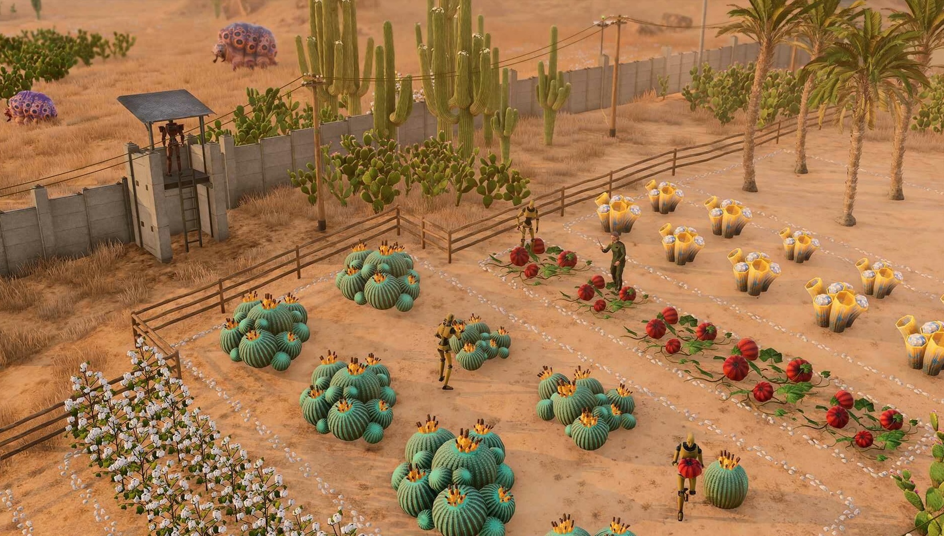 Illustration de l'article sur TEST : Stranded: Alien Dawn Robots and Guardians